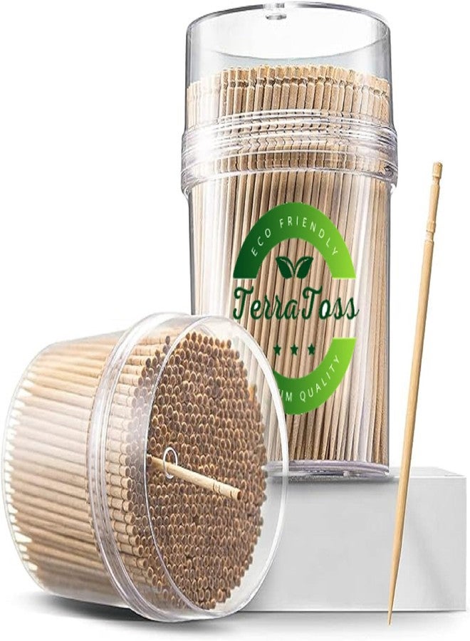 TerraToss Wooden Toothpicks | 2 Packs of 250 Toothpick Sticks (500 Sticks) | Sturdy Smooth Finish Tooth Picks Sticks | Toothpicks Wooden (500) - Image 1